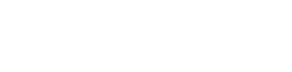 logo light